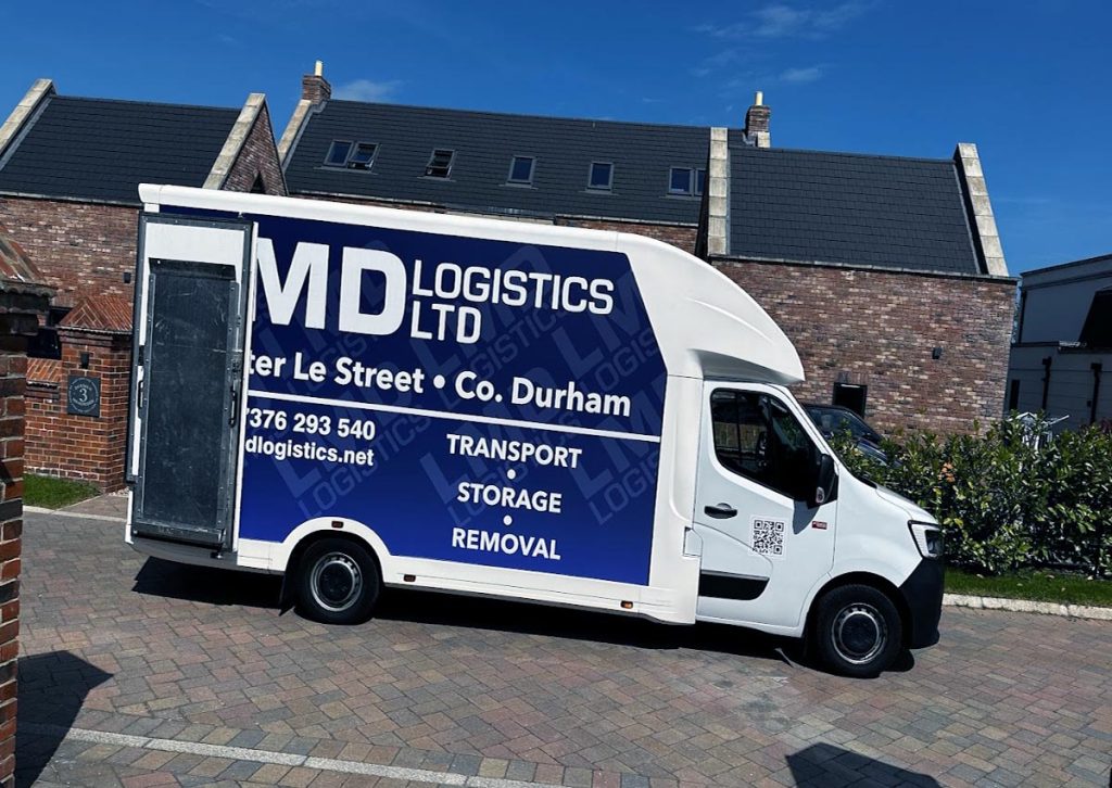 LMD mover carrying boxes into a home